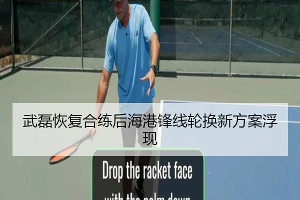 武磊恢复合练后海港锋线轮换新方案浮现（QYG）